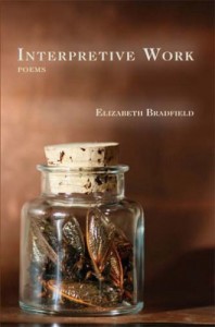 Bradfield_Interpretative_Work