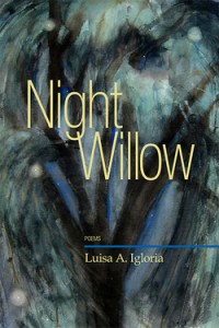 Igloria_Night_Willow