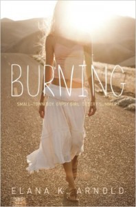 Burning (Delacorte Press, 2013). Fiction. YA/Teen.