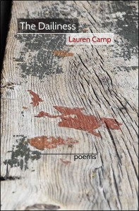 The Dailiness (Edwin E. Smith Publishing, 2013)