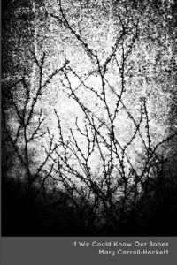 If We Could Know Our Bones (A-Minor Press, 2014). Poetry.