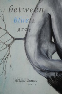 Between Blue & Grey (CreateSpace, 2012)