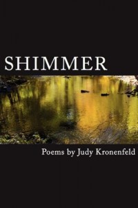 Shimmer (WordTech, 2012)