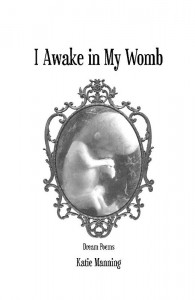 I Awake in My Womb (Yellow Flag Press, 2013)