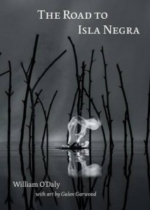 The Road to Isla Negra (Folded Word Press, 2015)
