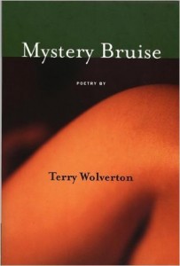 Mystery Bruise (Red Hen Press, 1999). Poetry.