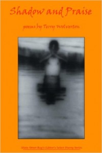 Shadow and Praise (Main Street Rag, 2007). Poetry.