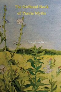 Longhorn_The_Girlhood_Book_of_Prairie_Myths_2013_sm